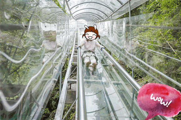 timg_副本.jpg