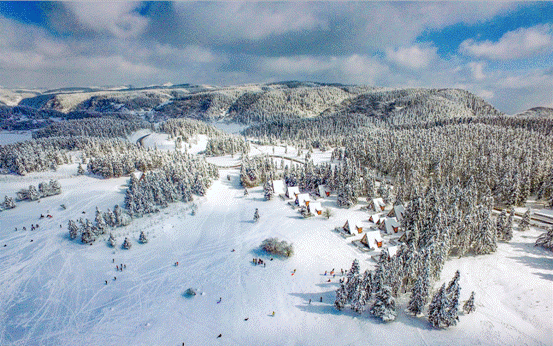 image004.gif