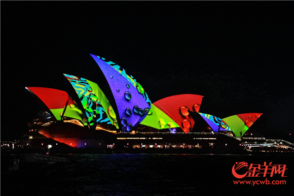 悉尼灯光音乐节期间，悉尼歌剧院化身流动的画作.jpg